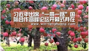 习近平出席“一带一路”国际合作高峰论坛开幕式并在主旨演讲“凤凰彩票”(图3) 凤凰app彩票